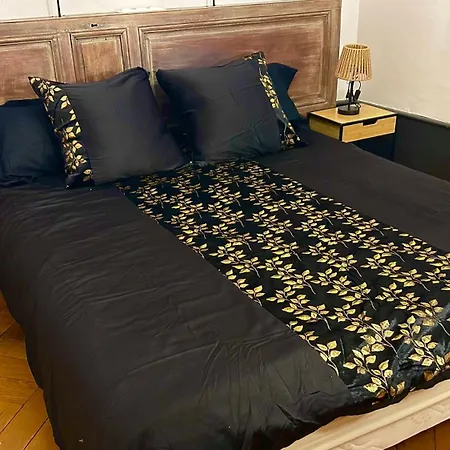 Résidence Cosy Les Ambassadeurs - Centre Aix Les Bains * Aix-les-Bains