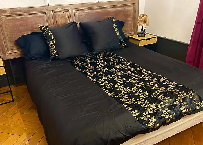 Résidence Cosy Les Ambassadeurs - Centre Aix Les Bains * Aix-les-Bains