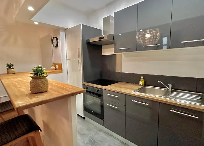 Appartement Résidence Cosy Les Ambassadeurs - Centre Aix Les Bains